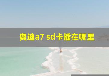 奥迪a7 sd卡插在哪里